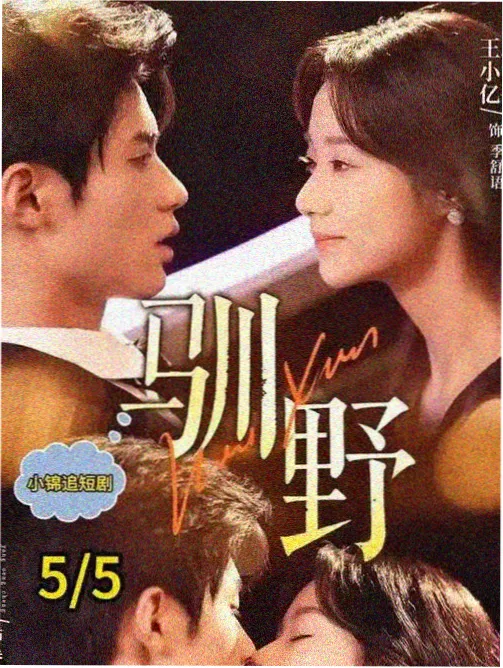 BD影视刑侦剧集雾港迷局剧照